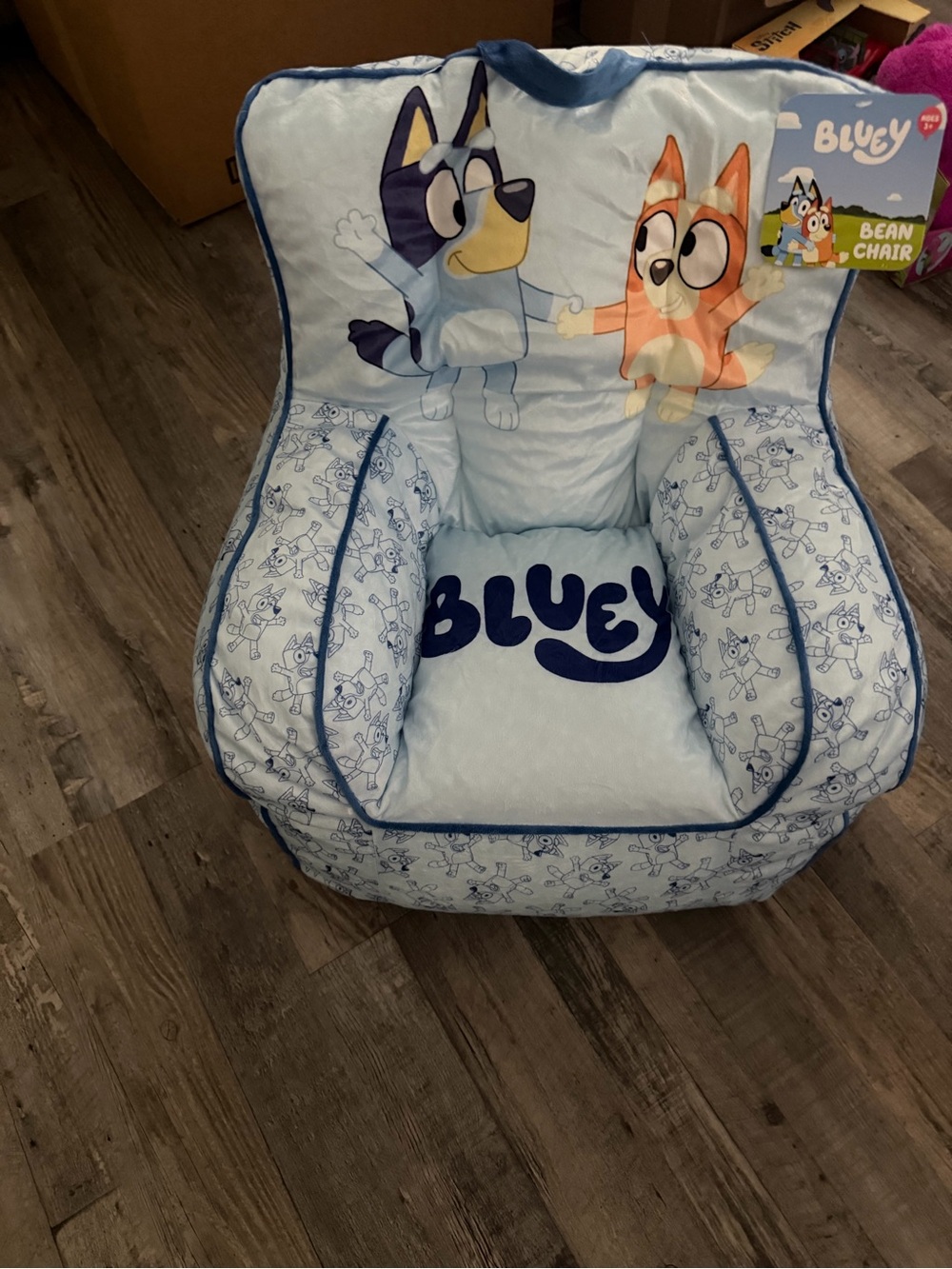 Light Blue Kids Bean Chair with Character Print